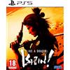 SEGA Like a Dragon: Ishin!