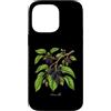 The Botany Bureau Custodia per iPhone 14 Pro Max Illustrazione della pianta di gelso Morus alba