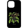 The Botany Bureau Custodia per iPhone 13 Pro Max Illustrazione della pianta di gelso Morus alba