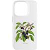 The Botany Bureau Custodia per iPhone 14 Pro Illustrazione della pianta di gelso Morus alba