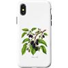 The Botany Bureau Custodia per iPhone X/XS Illustrazione della pianta di gelso Morus alba