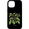 The Botany Bureau Custodia per iPhone 15 Illustrazione della pianta di gelso Morus alba