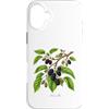 The Botany Bureau Custodia per iPhone 16 Plus Illustrazione della pianta di gelso Morus alba