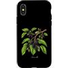 The Botany Bureau Custodia per iPhone X/XS Illustrazione della pianta di gelso Morus alba