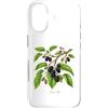 The Botany Bureau Custodia per iPhone 17 Illustrazione della pianta di gelso Morus alba