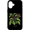 The Botany Bureau Custodia per iPhone 16 Illustrazione della pianta di gelso Morus alba