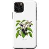The Botany Bureau Custodia per iPhone 11 Pro Illustrazione della pianta di gelso Morus alba