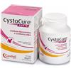 CYSTOCURE FORTE 30 COMPRESSE - CYSTOCURE - 938398450