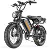 Pudari bicicletta elettrica off-road,batteria rimovibile 48V20AH,CE/EN15194