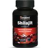 Himalaya Shilajit | Mumio Puro al 100% | Oltre 60% Acido Fulvico | Ene