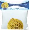 Laboratorio Silvana Srls Silvana Spugna Marina Naturale Del Mediterraneo Misura L