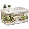 Generic Terrario per tartarughe, con rampa e paesaggio, per scrivania | Include rampa per prendere il sole e zona asciutta. Adatto a tartarughe acquatiche, granchi e piccoli rettili.