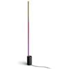 Philips GRADIENT SIGNE HUE LAMPADA DA TERRA