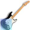 Parafango Fender Player II Stratocaster Maple Fingerboard Black