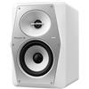 Pioneer DJ VM-50-W Monitor da Studio Attivo