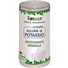 A&D SPA GRUPPO ALIMENTARE DIET Forsan Deodorante Minerale Stick 120 G