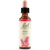 SCHWABE PHARMA SPEC Pine Bach Orig 20 Ml