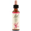 SCHWABE PHARMA ITALIA Srl Oak Bach Orig 20 Ml
