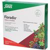 SALUS HAUS GMBH & CO KG Salus Floradix Ferro 10 Fiale 20ml