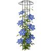 Generic Traliccio a ombrello, di supporto per piante da giardino, 70 cm/100 cm/130 cm/160 traliccio rampicante a forma di ombrello, torre verticale antiruggine stabile per rose rampicanti, esterni