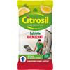 L.MANETTI-H.ROBERTS & C. SpA CITROSIL SALVIETTE IGIENIZZANTI LIMONE 40 PEZZI