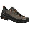 SALEWA M's Alp Trainer 2 GTX scarpe trekking