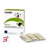 CAMON SPA HYBRID 30 COMPRESSE