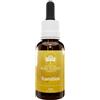 TRANSITION AUSTRALIAN 30ML GTT