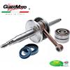 Top Performances ALBERO Ø 10 CUSCINETTI PARAOLIO TOP DR SCOOTER MINARELLI VERTICALE IM07058