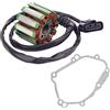 Road Passion Statori Magnete Bobina & Guarnizioni 5VY-15451-10-00 5VY-15451-00-00 2D1-15451-10-00 Compatibile con Yamaha FZ8 FZ-8 FZ 8 2011-2013/ FZ1 FZS10 2006-2014/ FZS1 FZS10 2015