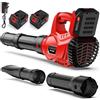 denqir 21V Soffiatore a Batteria, 6 Velocità Soffiatore Elettrico Senza Filo con Motore Brushless 2 Batterie da 4.0Ah, Velocità Aria 310km/h, 2 Ugelli Intercambiabili, Soffiatore Foglie per la Cura del Prato