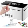 GZYHDC Frigorifero per medicinali, scatola refrigerante per insulina, custodia da viaggio per insulina, portatile, frigorifero per medicinali (2 batterie)