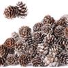 Esshogo 30 pigne natalizie da 3 a 4 cm, con pigne di pino, decorazione naturale, pigne di pino, pigne bianche