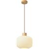 SANBDDLYY Lampadario a soffitto Lampade a sospensione regolabili Lampade a sospensione in vetro giapponese Lampada a sospensione a soffitto piatto e inclinato Lampada a sospensione for camera da letto Isola del