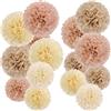 Easy Joy 15 pompon di carta a forma di fiori di colore beige e rosa | Fiori di carta velina per matrimoni rustici, feste vintage, decorazioni autunnali e decorazioni per la casa