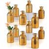 Inweder Vaso in Vetro Dorato per Tavola: 12 Pcs Piccoli Vasi da Fiori | Finitura Vintage a Nervature, Collo Stretto, per Fiori a Stelo Singolo/Fiori Secchi, Centrotavola, Matrimoni, Natale, Salotto