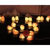 Fantasee Luce a filo di sale dell'Himalaya, con cristalli di sale intagliati a mano naturale, ioni negativi per camera da letto, soggiorno, ufficio, casa, yoga, luce notturna, regalo (2 m 10 led)