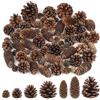 Larber 65 Pezzi Pigne di Natale Grande Medio Mini Pigne Naturali Pignes Decorative Misto Natalizie per la Decorazione Domestica Artigianato Fai da Te Albero di Natale Decorazione Autunno Inverno