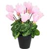 Flair Flower Ciclamino artificiale in vaso, fiore decorativo, pianta decorativa, primavera e primavera, fiore artificiale, pianta di primula, primula, fiore di seta, fiori d'appartamento, rosa