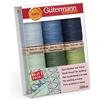 Gütermann creativ Set filo da cucito con 6 bobine Quilting 200 m in diversi colori