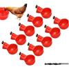 Bhina 10 Pezzi Bevitori Automatici Pollo Ciotole in Plastica Automatico Pollo Bevitore Tazze Abbeveratoio per Galline con Trapano Abbeveratoio Galline DIY Kit per Uccelli, Piccioni, Polli, Anatre