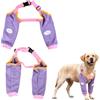 Daleweo Cuffia per cani, protezione gomito, gomitiere con fibbia regolabile, protezione per gomito per cani di taglia media e grande, protezione delle articolazioni del gomito del vostro cane (Viola, XXL)