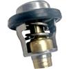 ECsePc 72 Termostato Fit Compatibile con 4 tempi DF 40 50 60 70 HP Fuoribordo 17670-87J01 5031762 0769639 17670-87J00