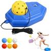 Generic Set da allenamento per giocatore singolo, palline da pickleball, palla da
