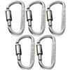 Generico 6 Pack D Ring Carabiner Clips - Locking Screw Gate Aluminum Alloy D Shaped