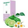 Bergamon detergente antisecchezza 300 ml - BERGAMON - 980141826