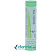 BOIRON Nux vomica*5ch 80gr 4g bo - BOIRON - 046475620