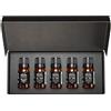 Air-Scent AirScent Set regalo di oli per diffusore di hotel, ispirato ai più popolari profumi da hotel a 5 stelle, set di oli profumati da 10 ml, 10 ml, My Way, The Beach Villas e altri profumi di lusso per