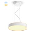 Philips Hue White Amb. Enrave luce a sospensione bianca 4500lm w DS