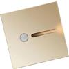 Shanrya Luce Notturna con Sensore di Movimento, Lampada a Induzione LED Sensibile per Corridoio (Oro)